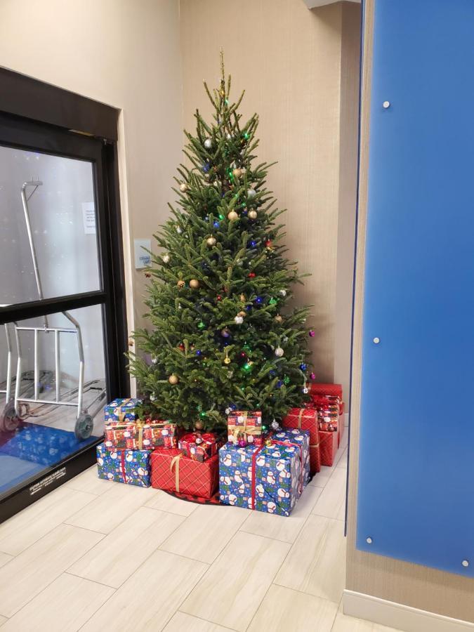 Holiday Inn Express St. Augustine - Vilano Beach By Ihg Esterno foto